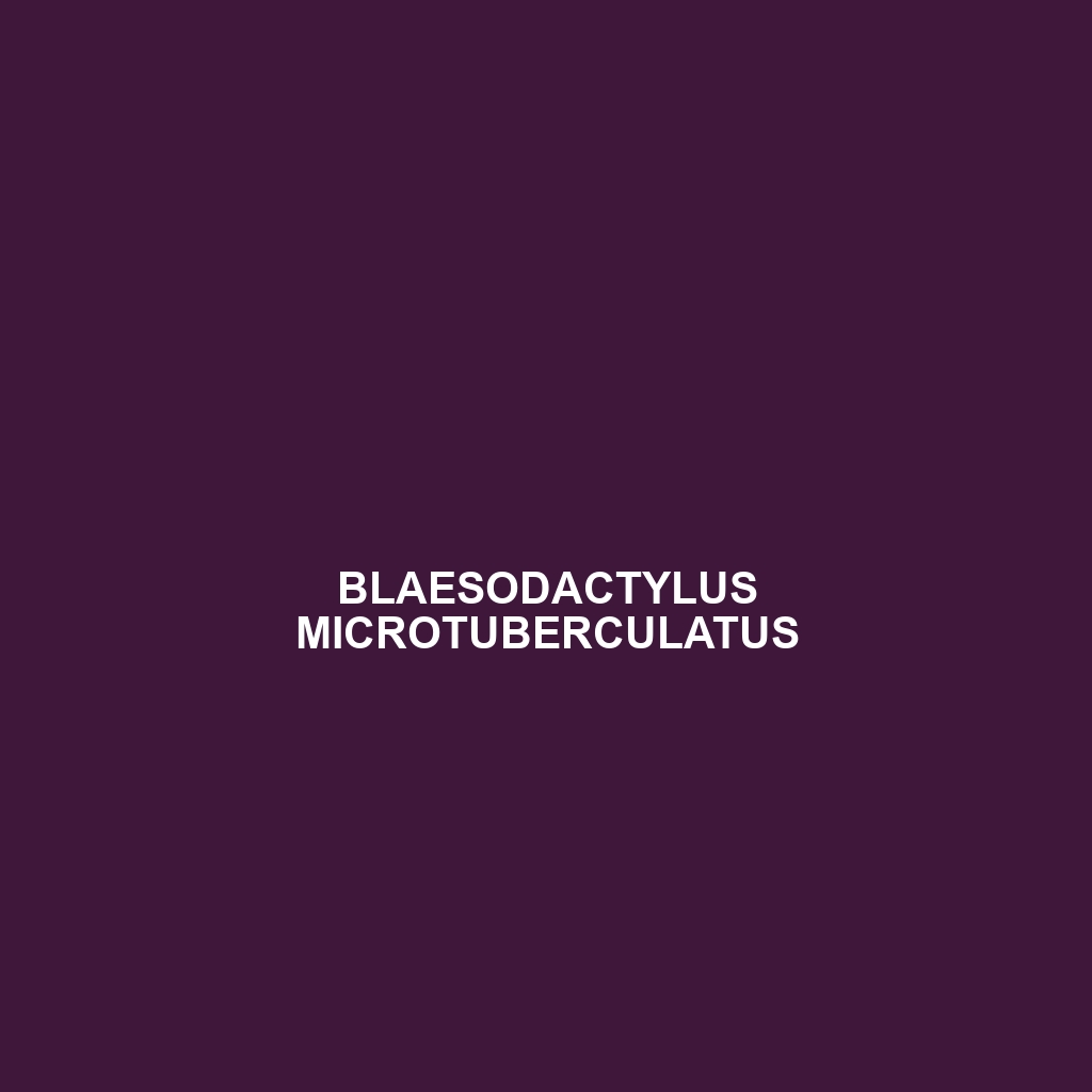 Blaesodactylus microtuberculatus