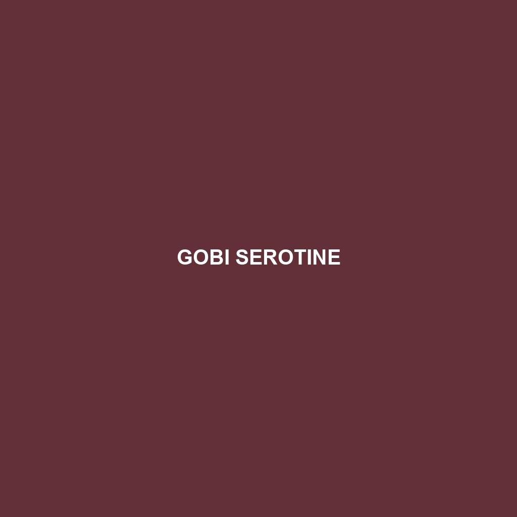 Gobi Serotine