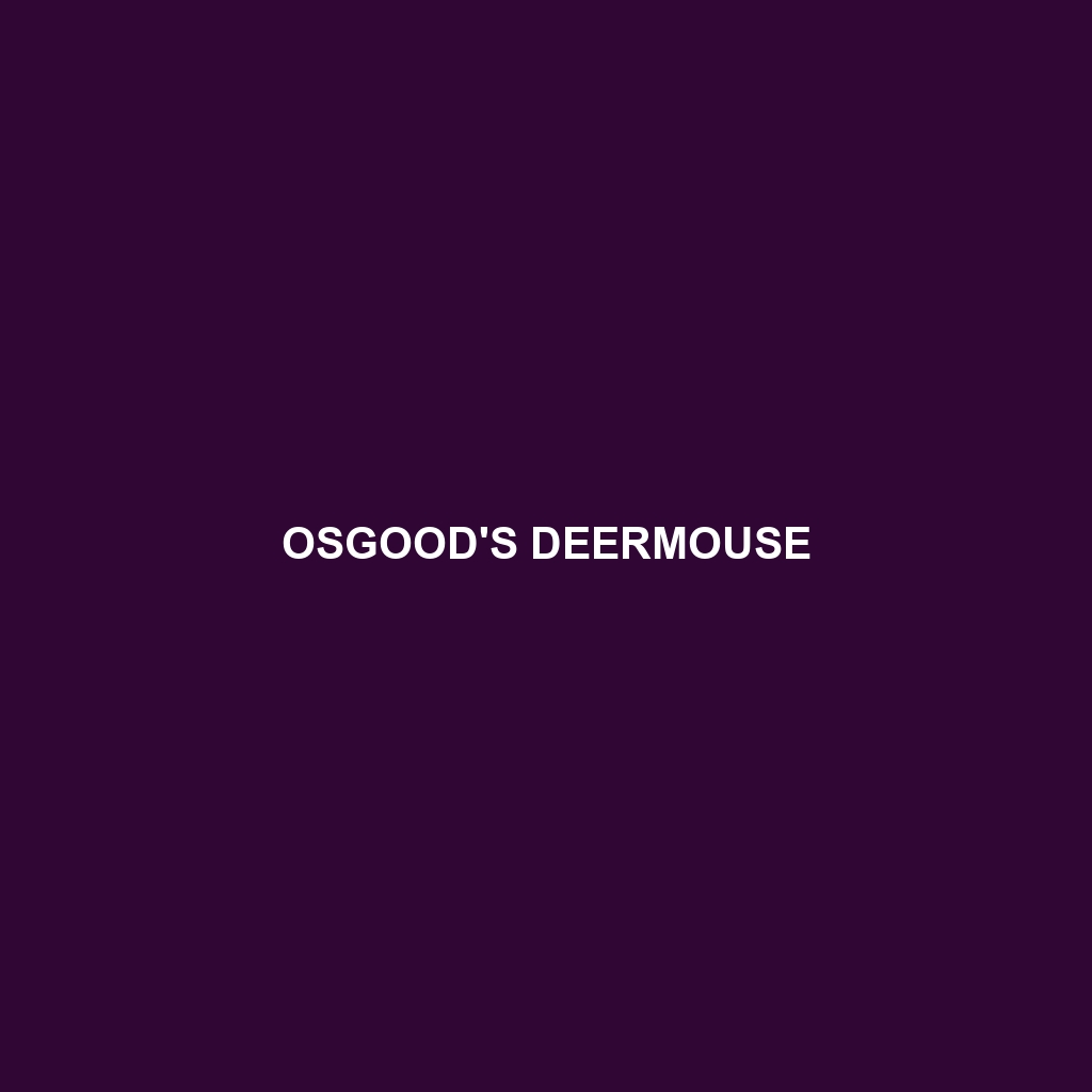 Osgood's Deermouse