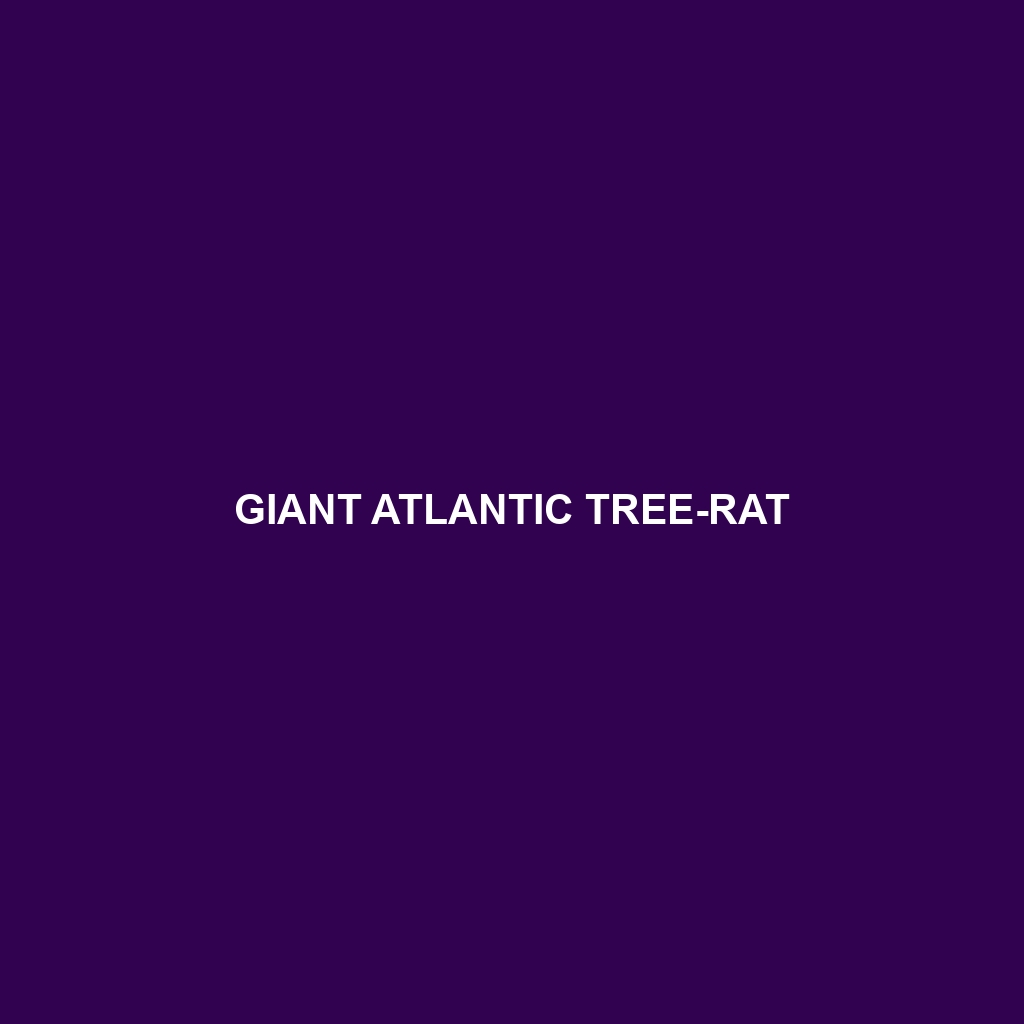 Giant Atlantic Tree-rat