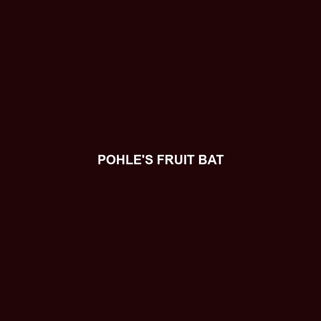 Pohle's Fruit Bat