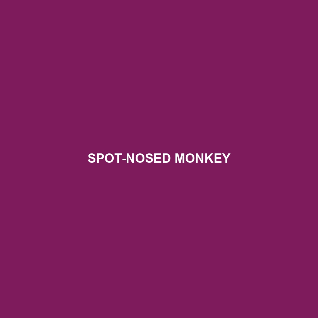 Spot-nosed Monkey