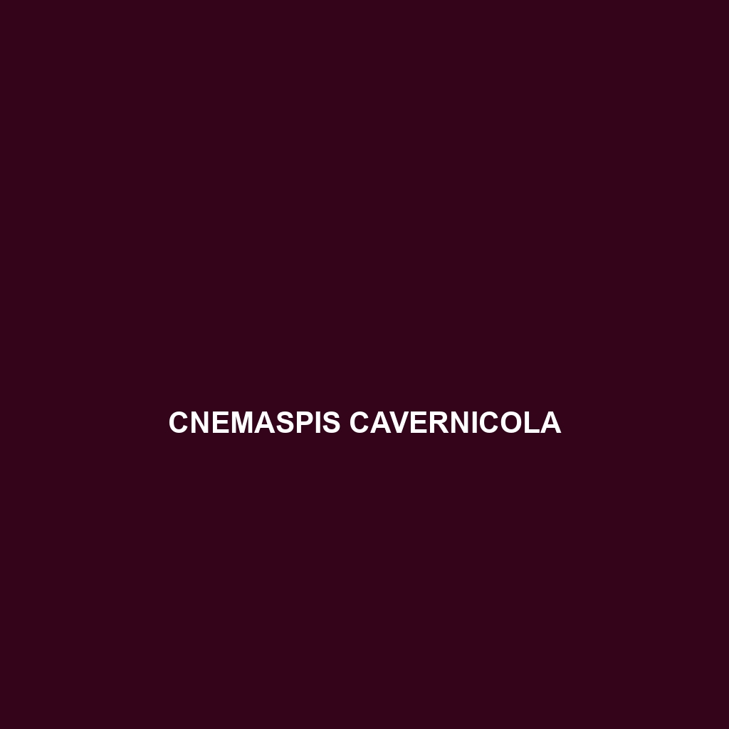 Cnemaspis cavernicola