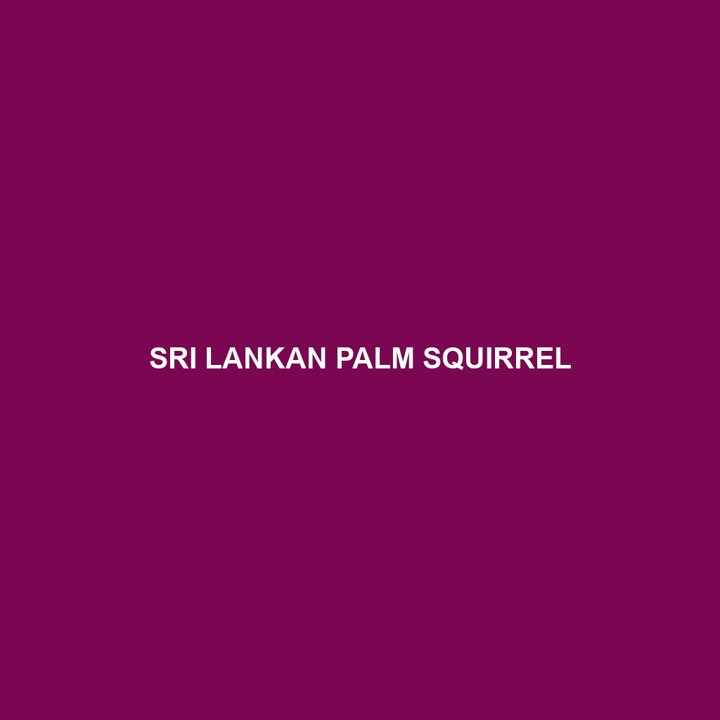 Sri Lankan Palm Squirrel