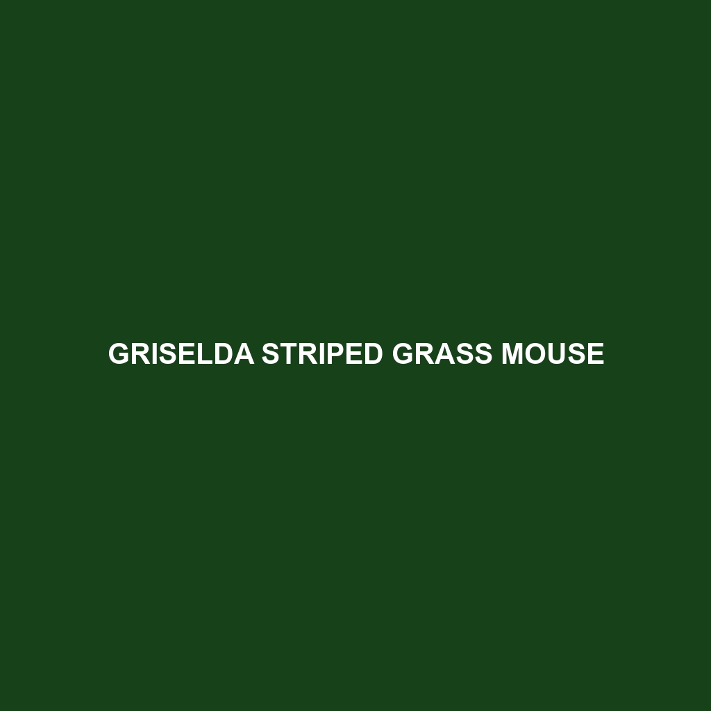 Griselda Striped Grass Mouse