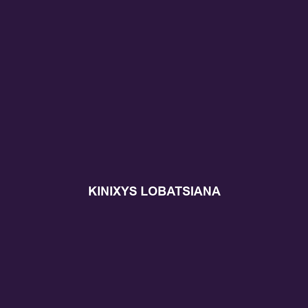 Kinixys lobatsiana