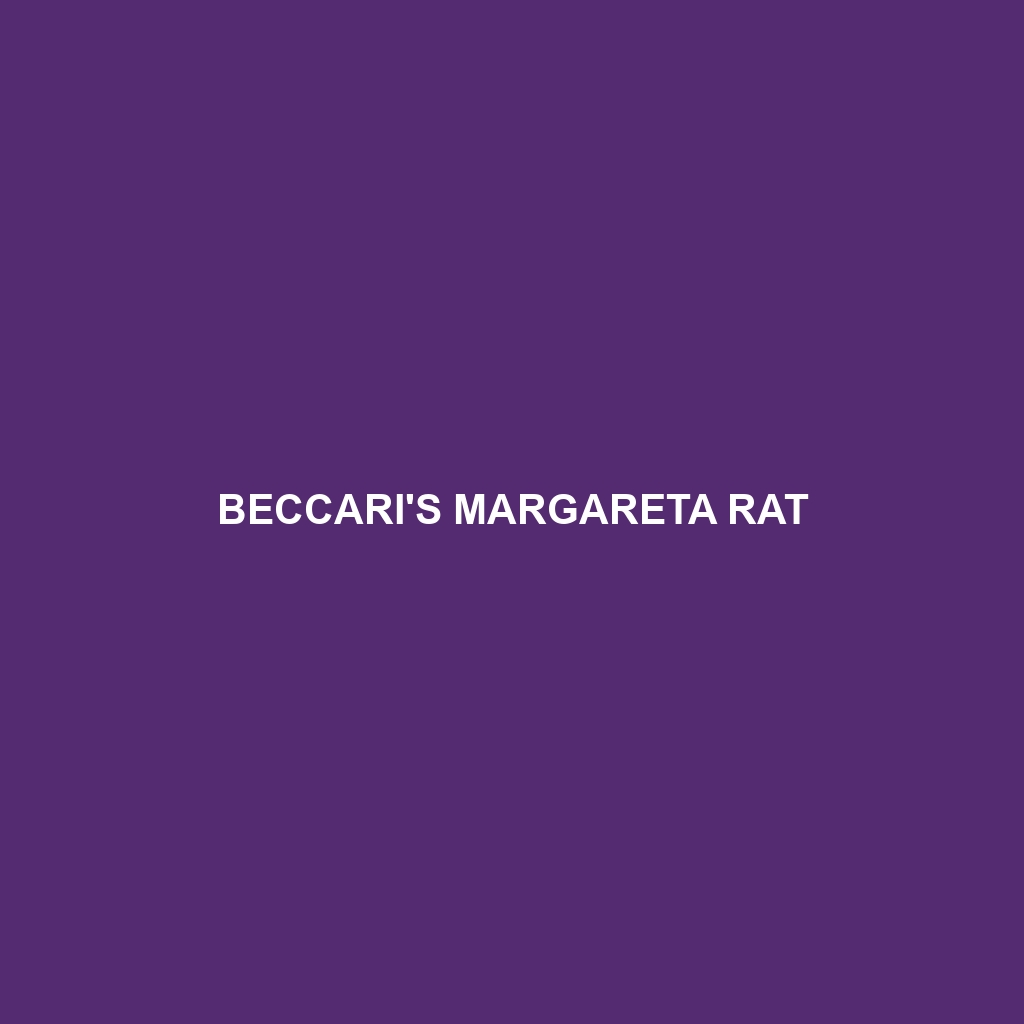 Beccari's Margareta Rat