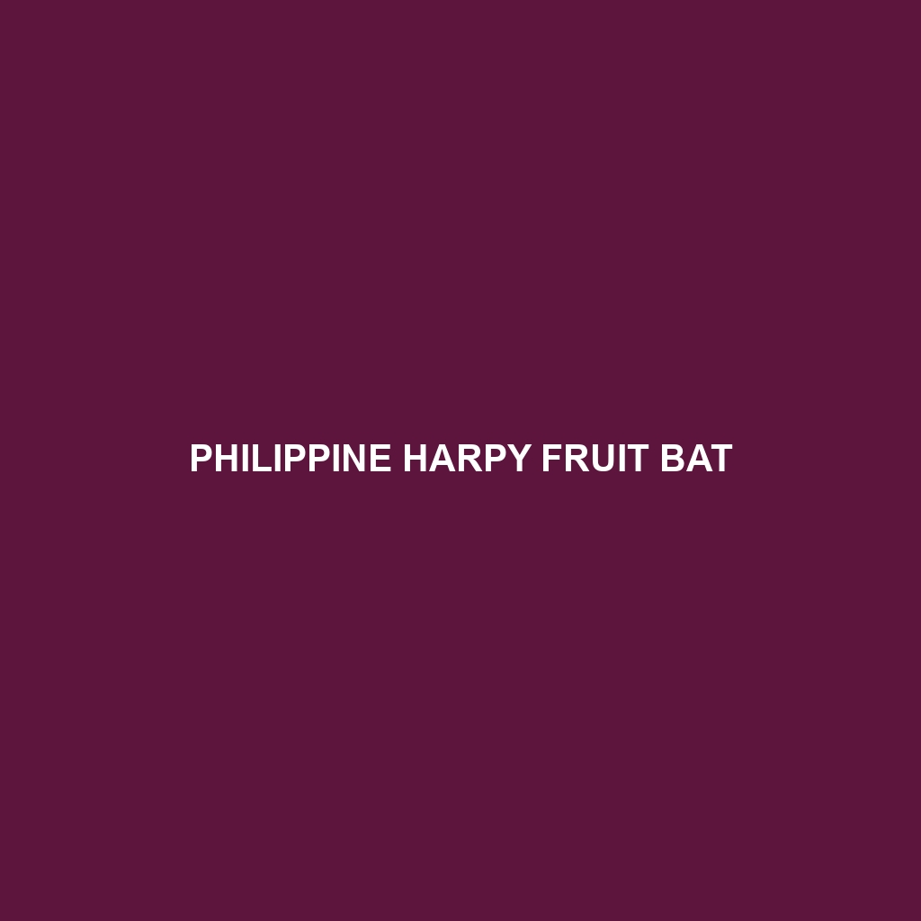 Philippine Harpy Fruit Bat