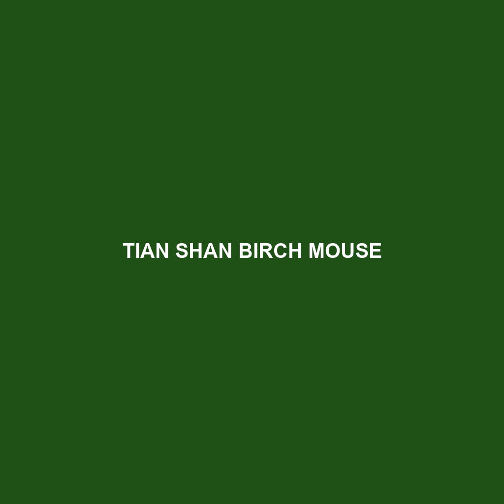 Tian Shan Birch Mouse