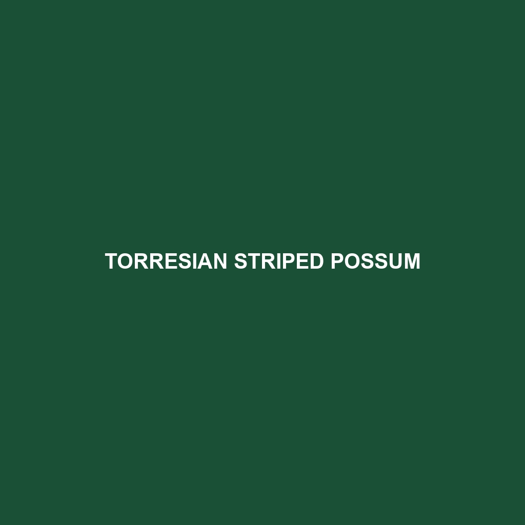 Torresian Striped Possum