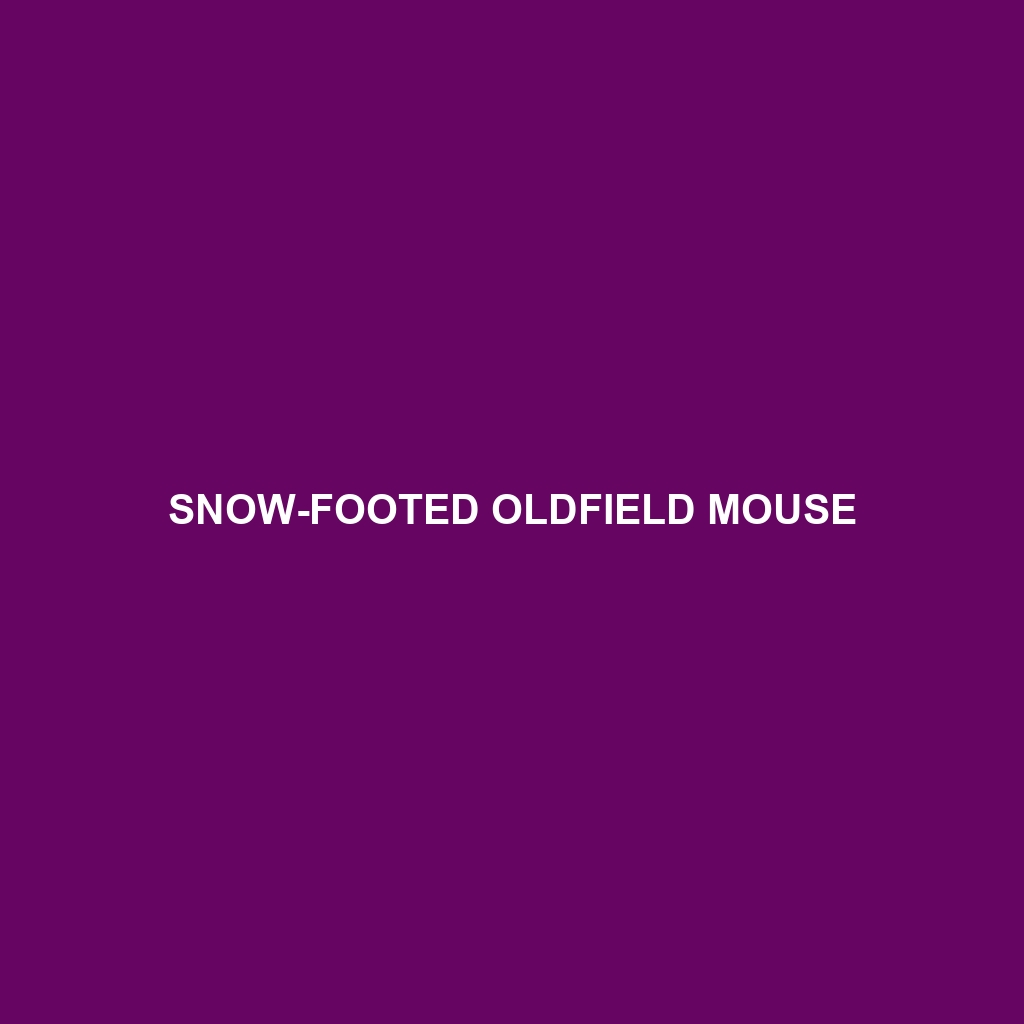 Snow-footed Oldfield Mouse