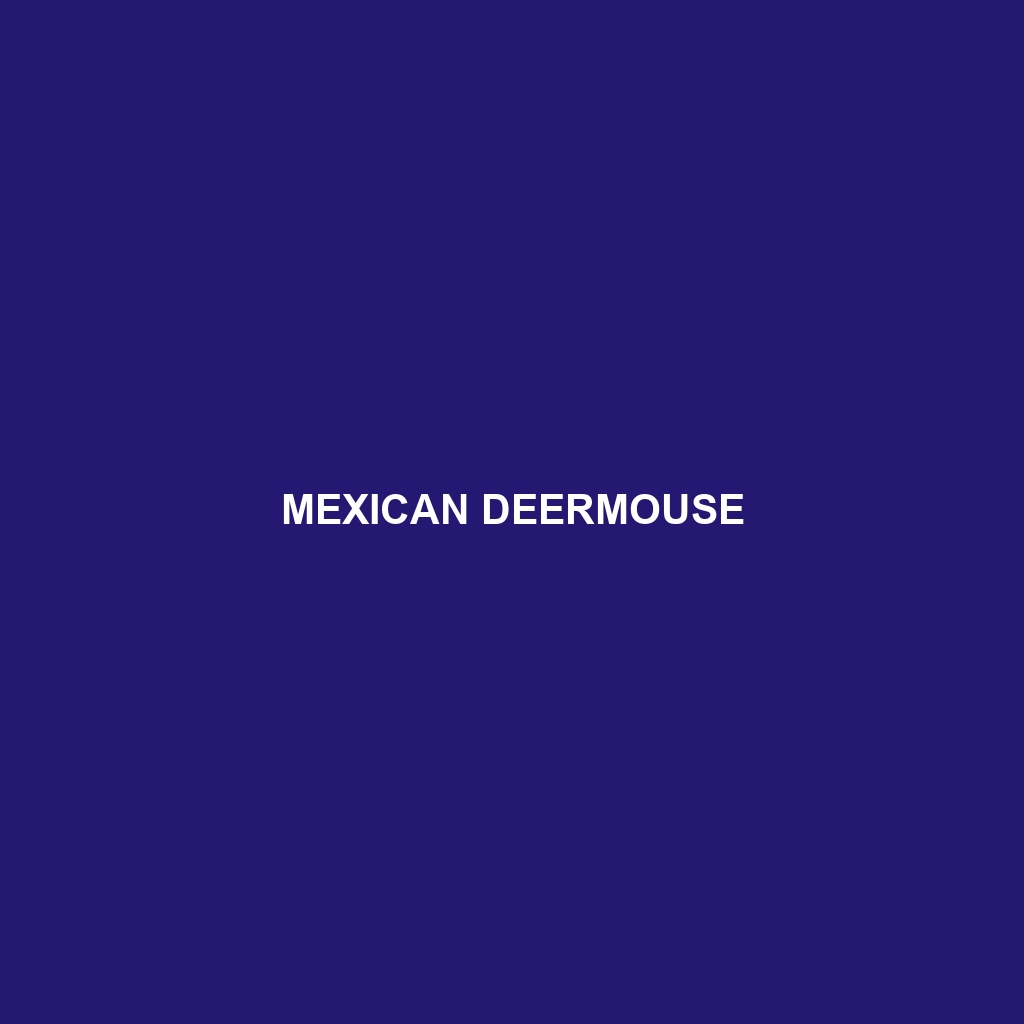 Mexican Deermouse