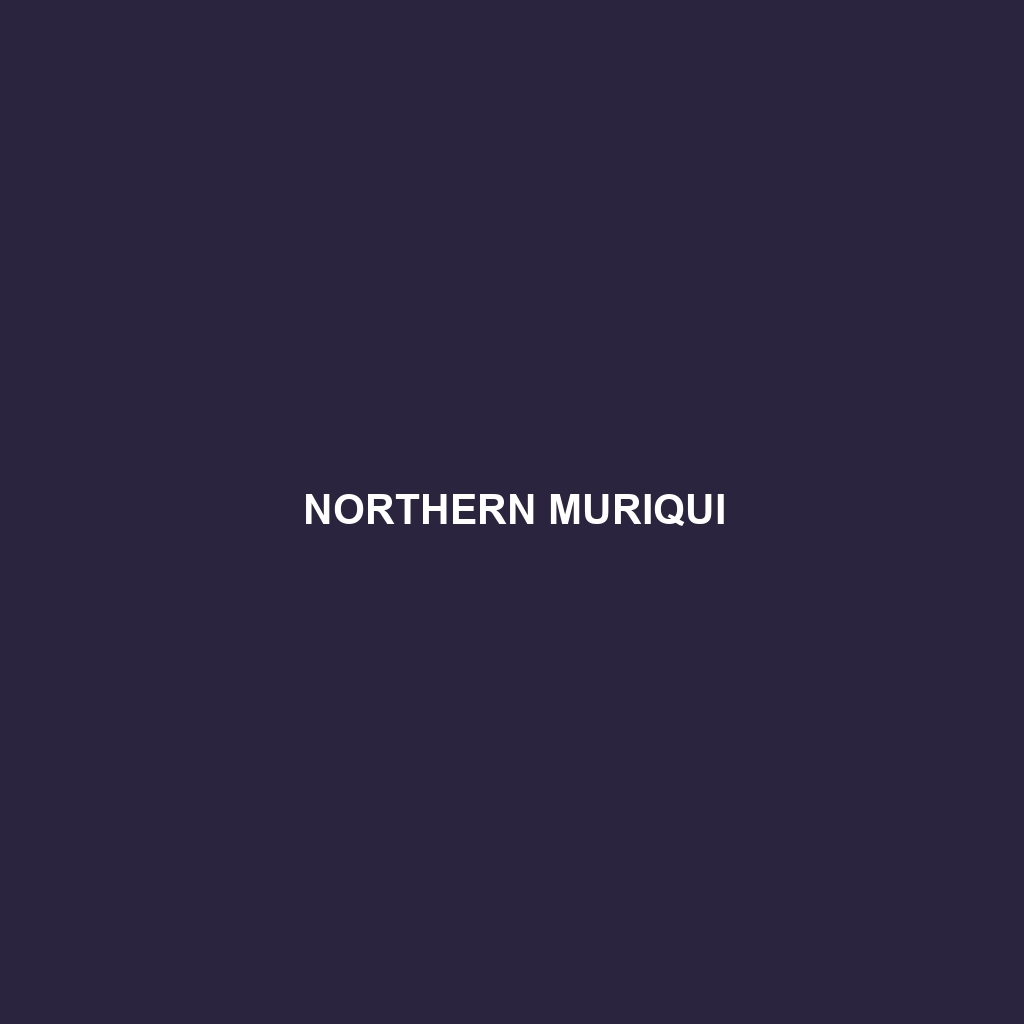 Northern Muriqui