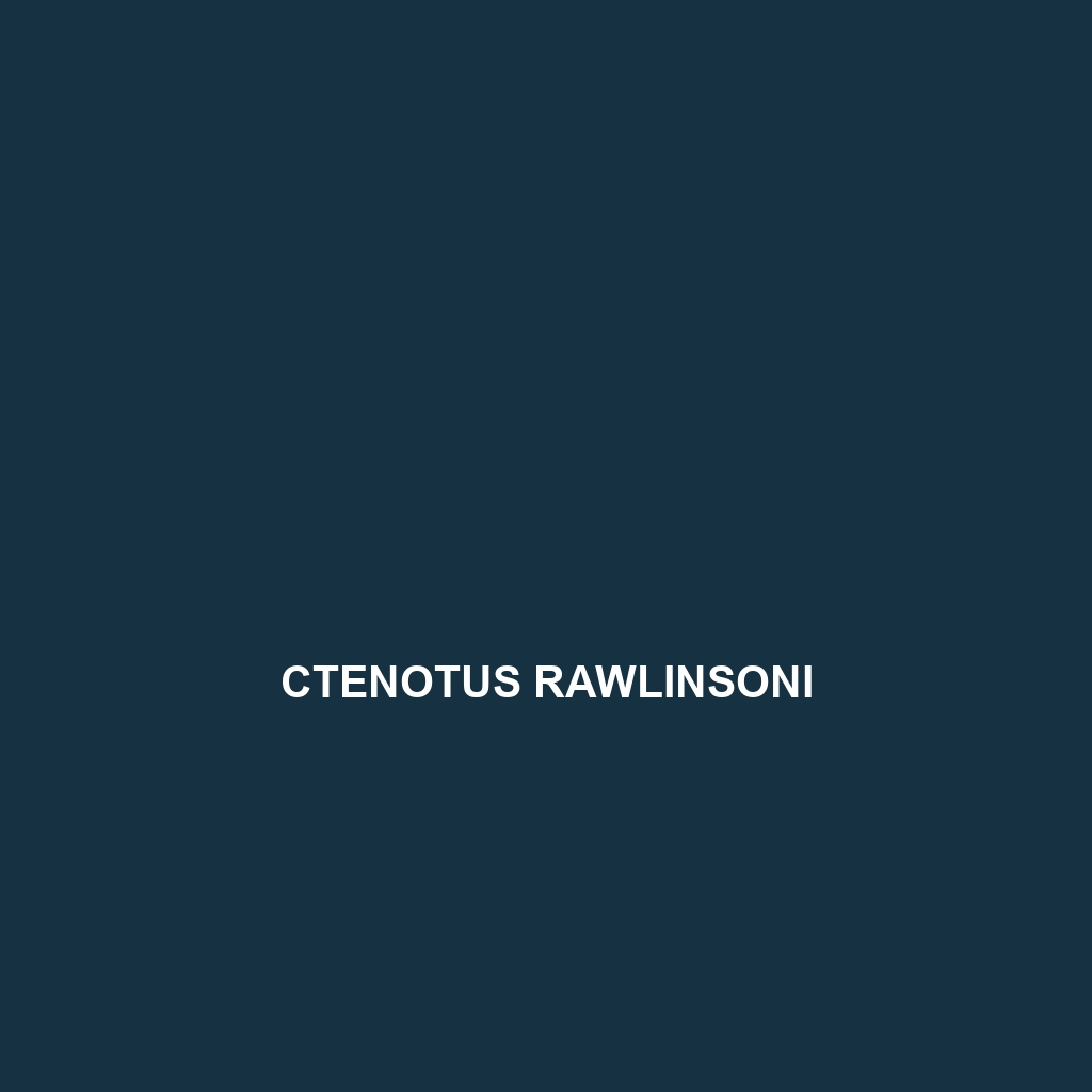 Ctenotus rawlinsoni