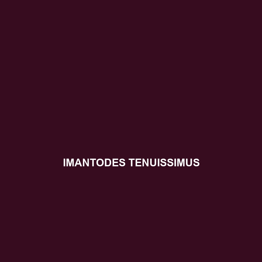 Imantodes phantasma