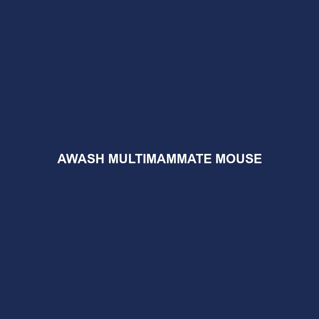 Awash Multimammate Mouse