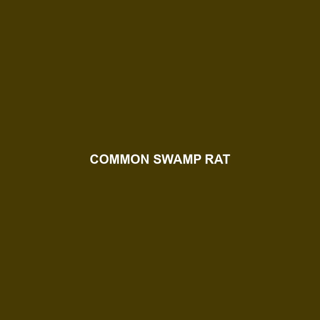 Common Swamp Rat