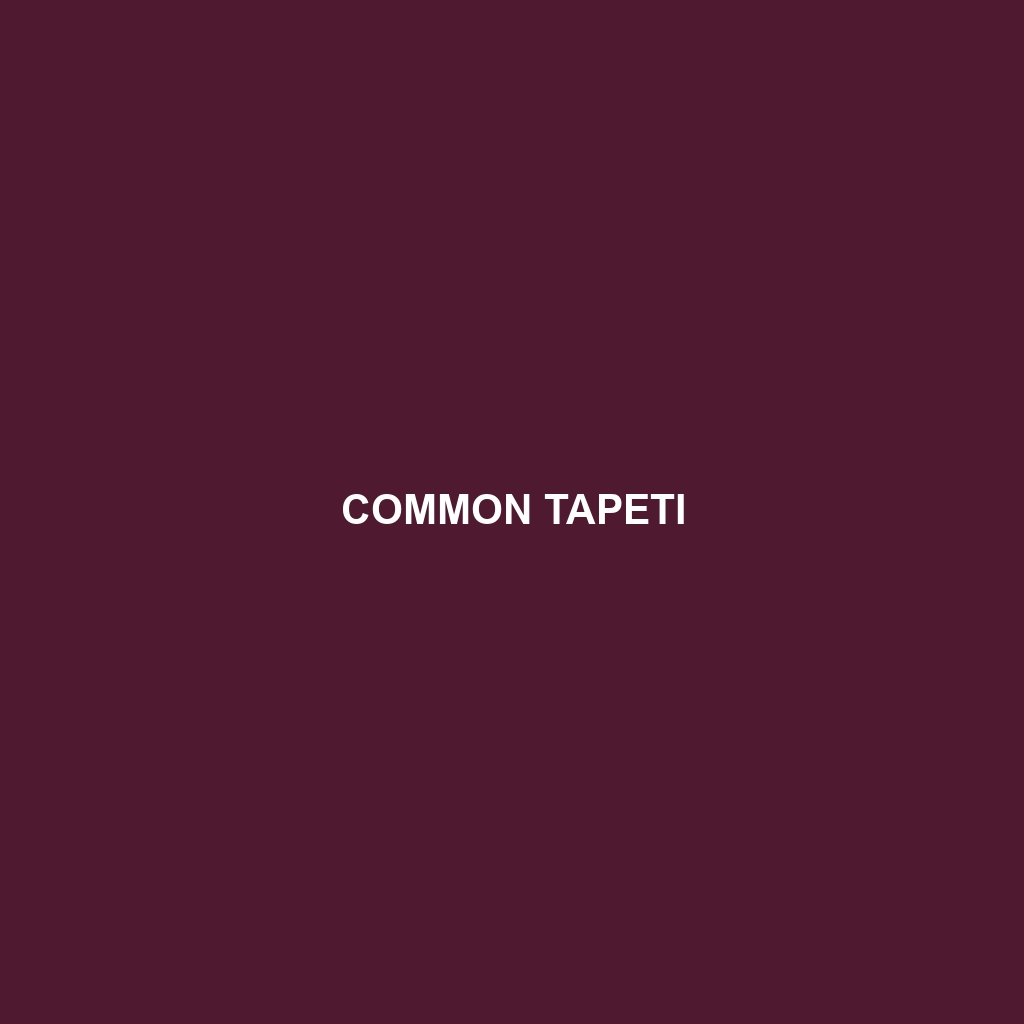 Common Tapeti