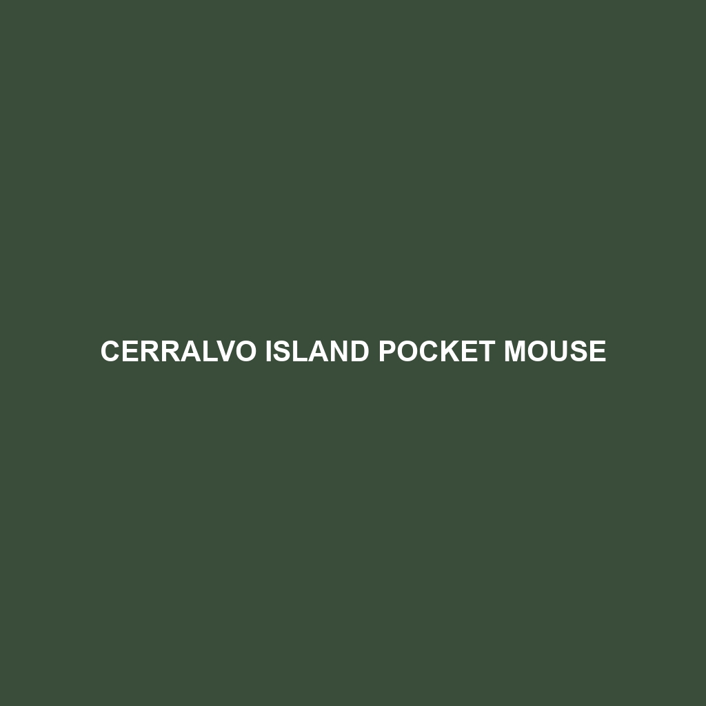 Cerralvo Island Pocket Mouse