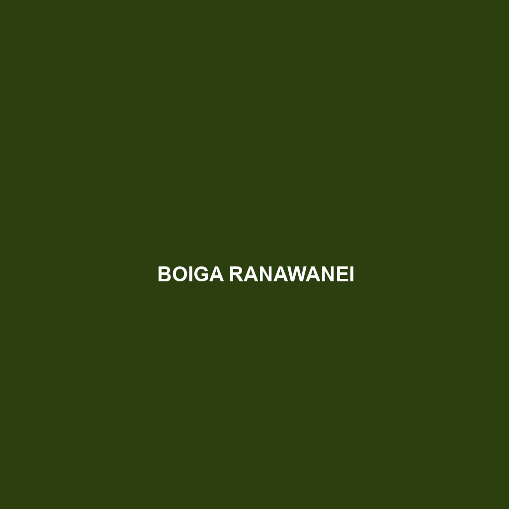 Boiga ranawanei