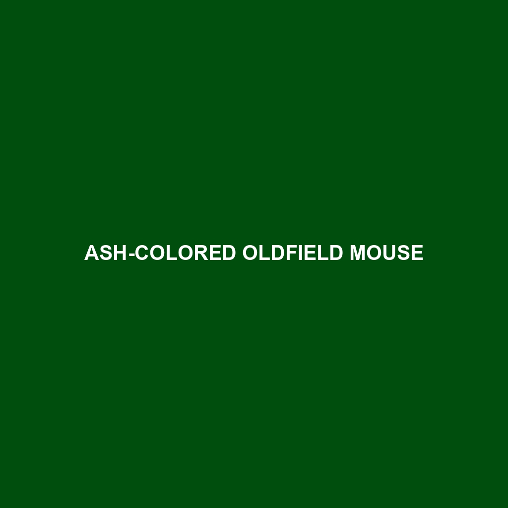 Ash-colored Oldfield Mouse