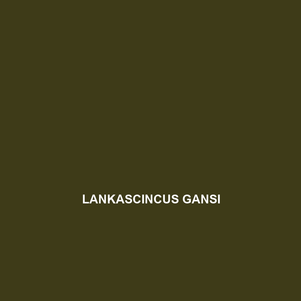 Lankascincus gansi