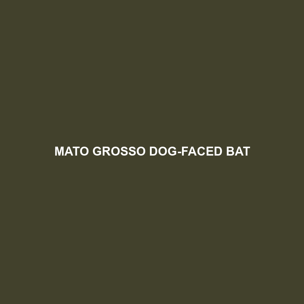 Mato Grosso Dog-faced Bat