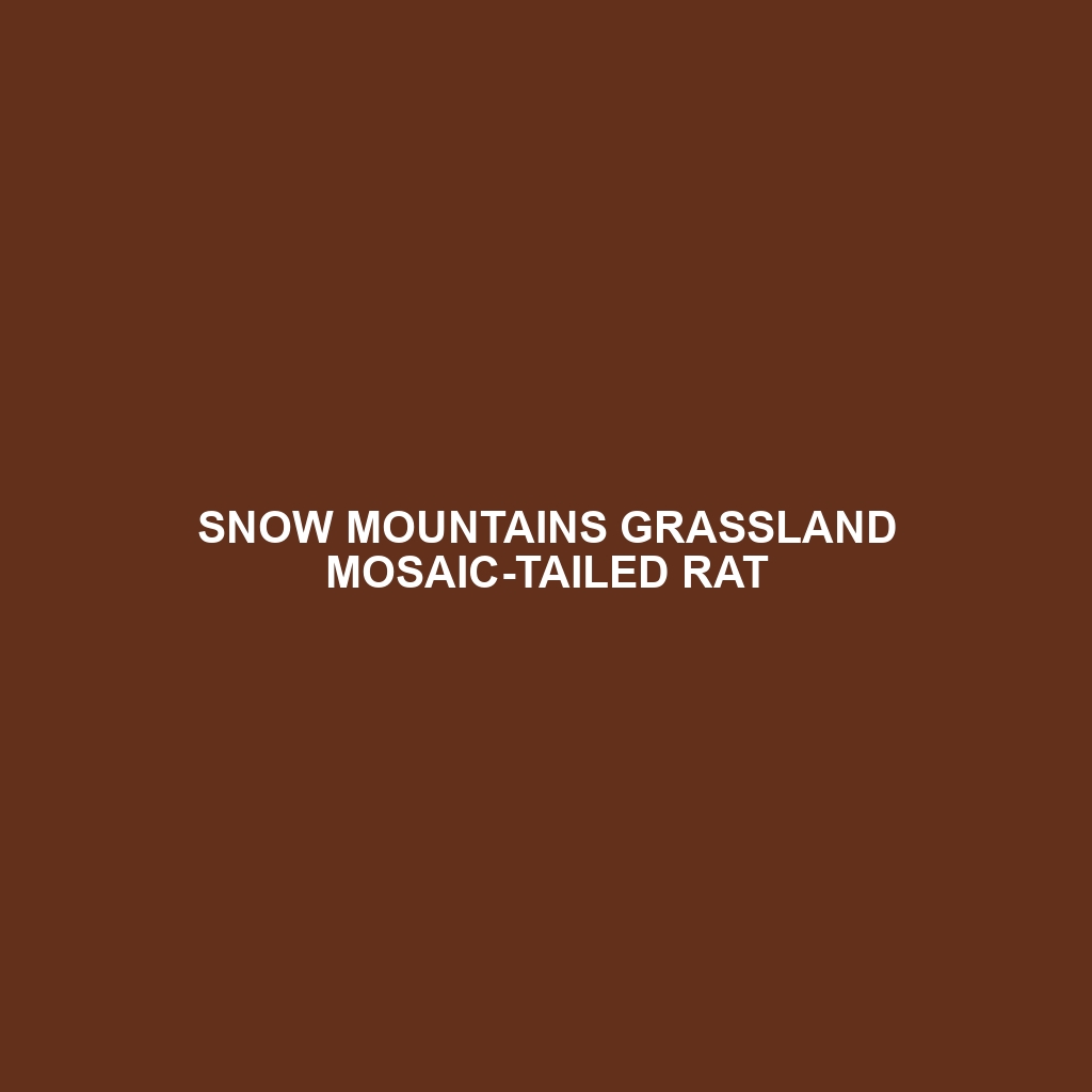 Snow Mountains Grassland Mosaic-tailed Rat