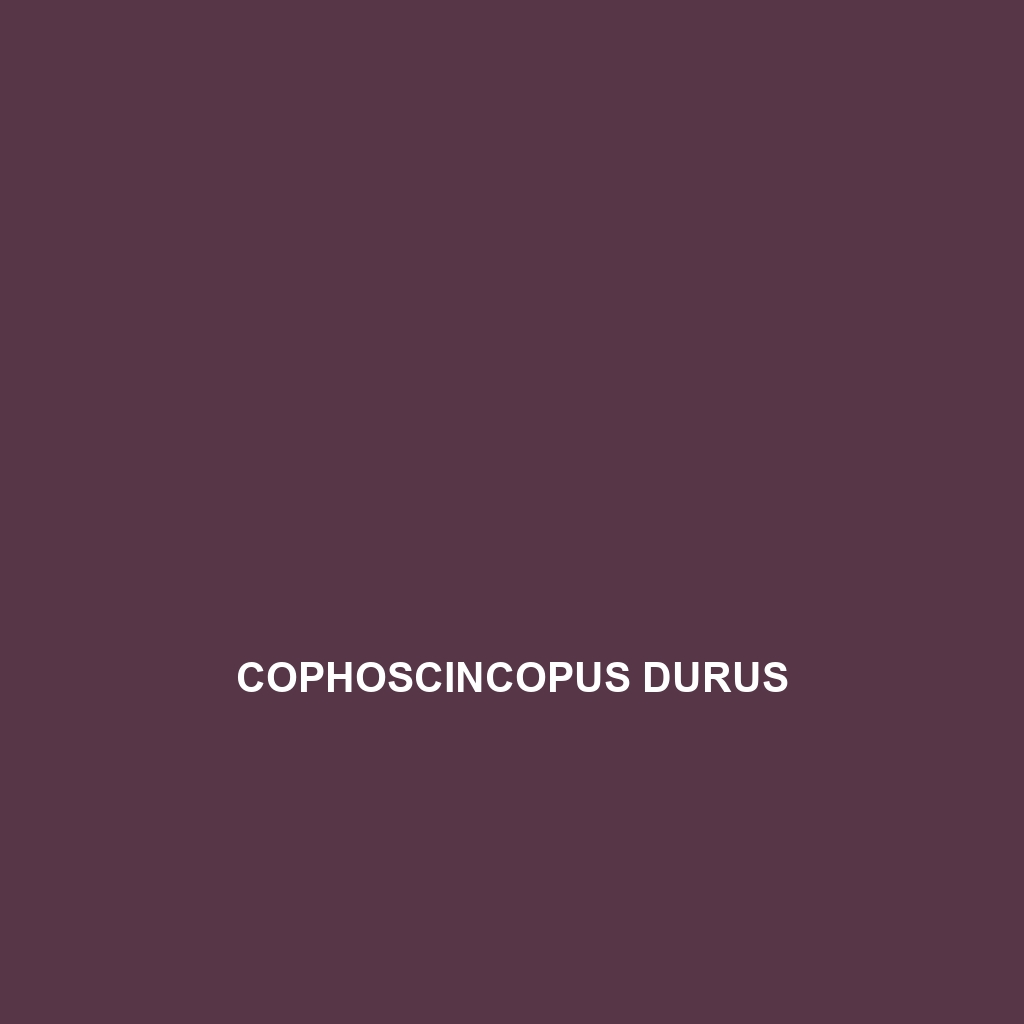 Cophoscincopus durus