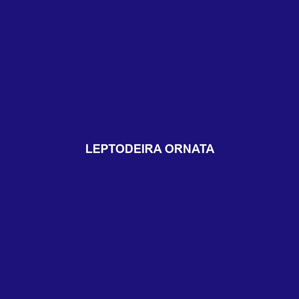 Leptodeira ornata