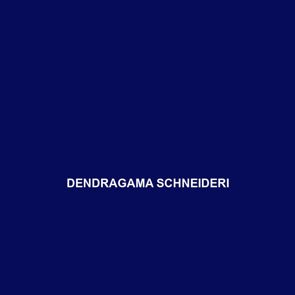 Dendragama schneideri