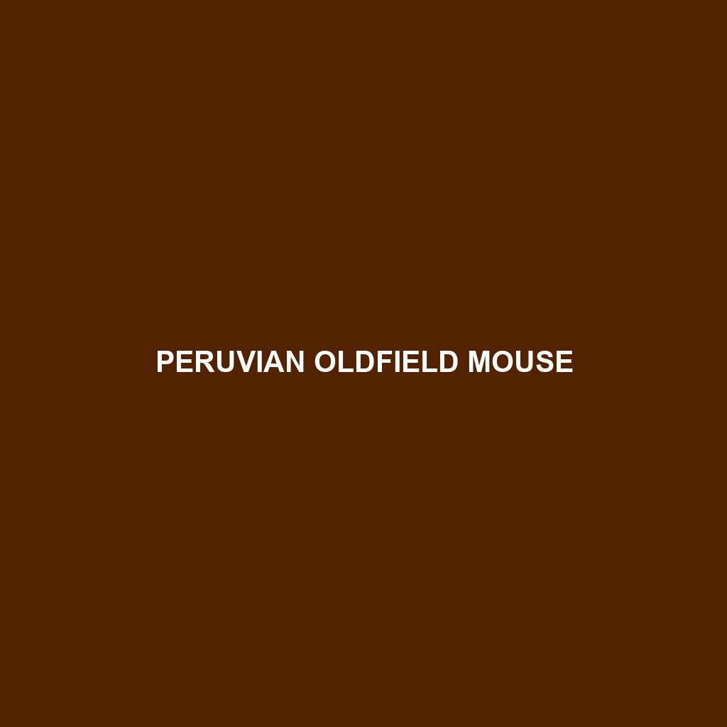 Peruvian Oldfield Mouse