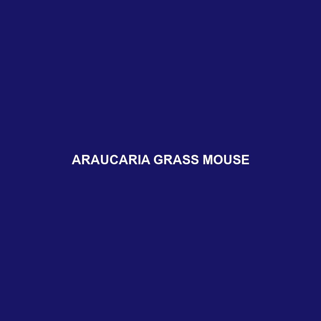 Araucaria Grass Mouse