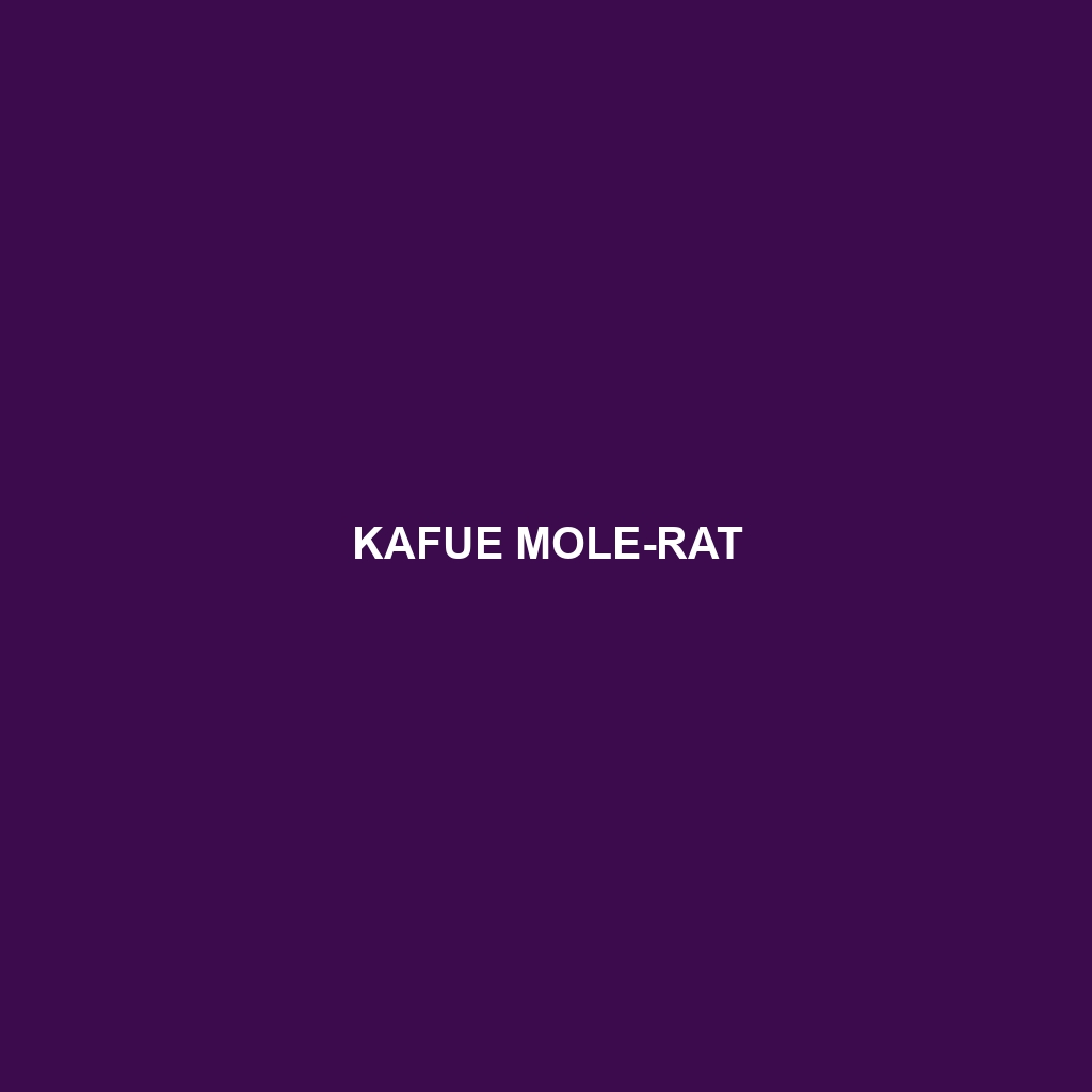 Kafue Mole-rat