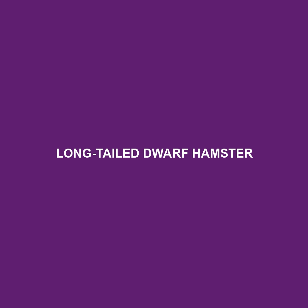 Long-tailed Dwarf Hamster