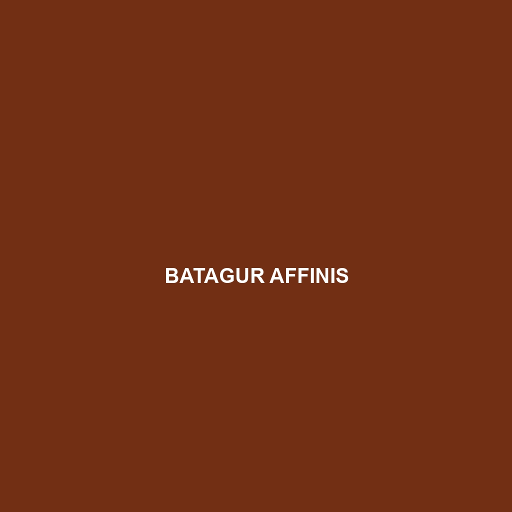 Batagur affinis