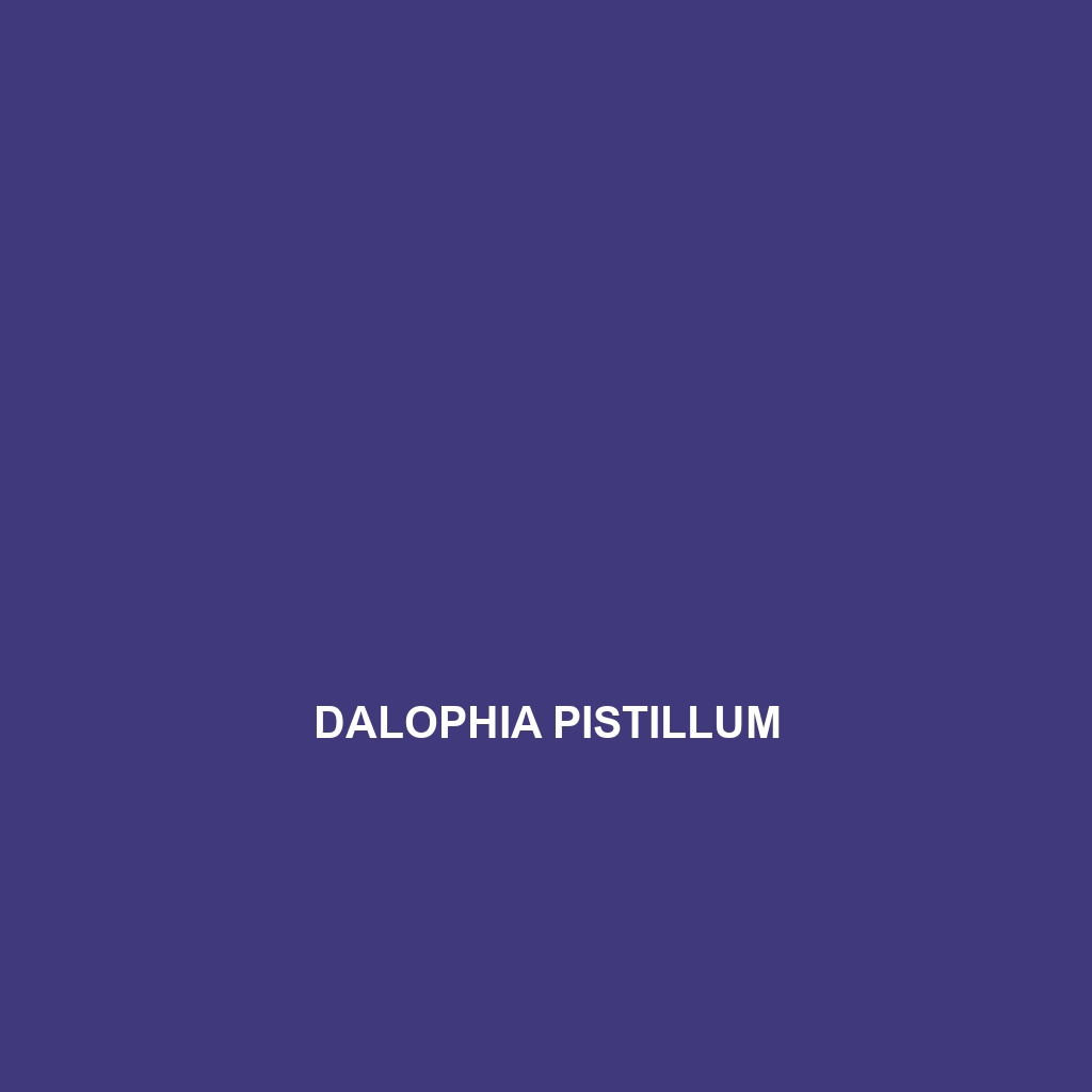 Dalophia pistillum