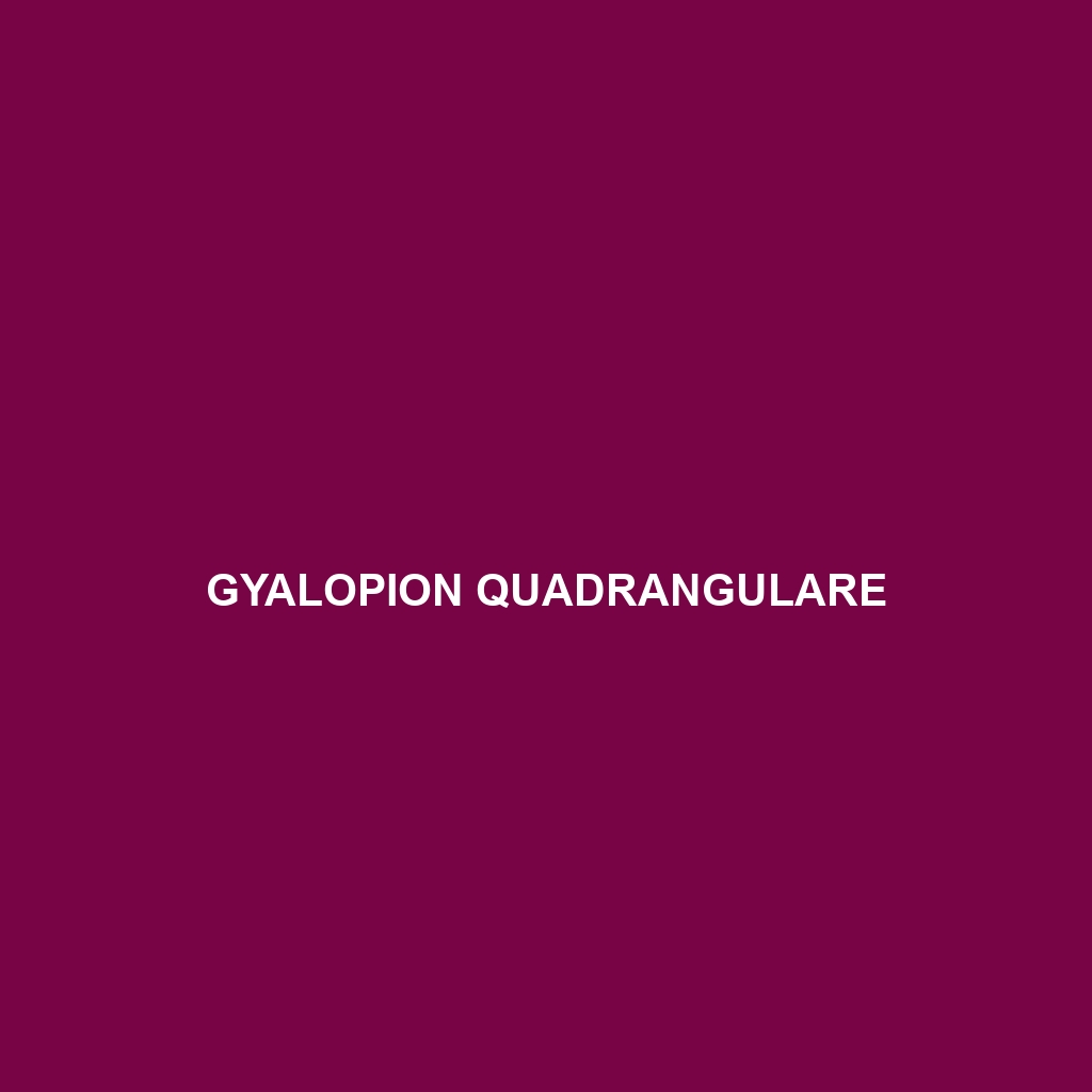 Gyalopion quadrangulare