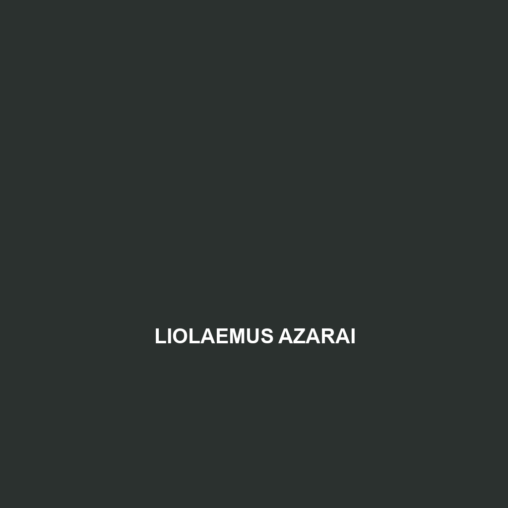 Liolaemus azarai