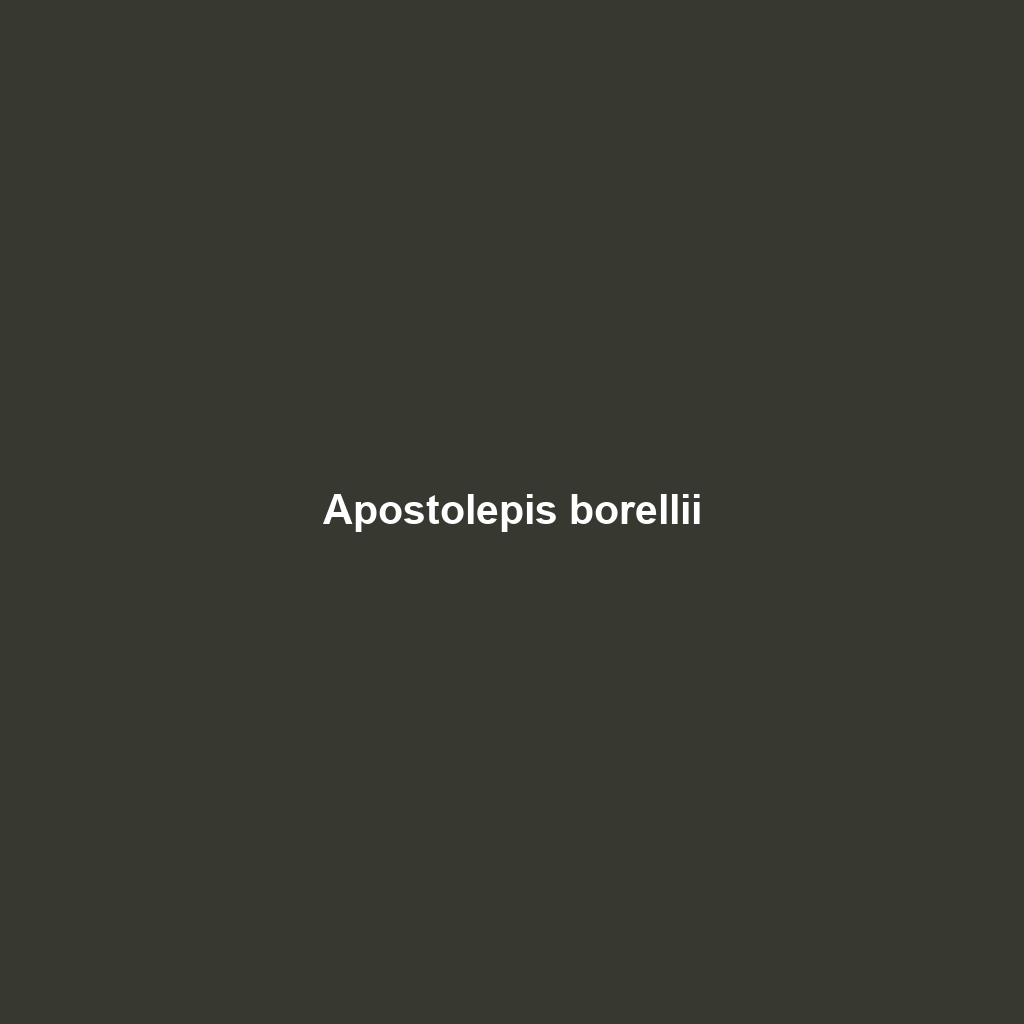 Apostolepis borellii