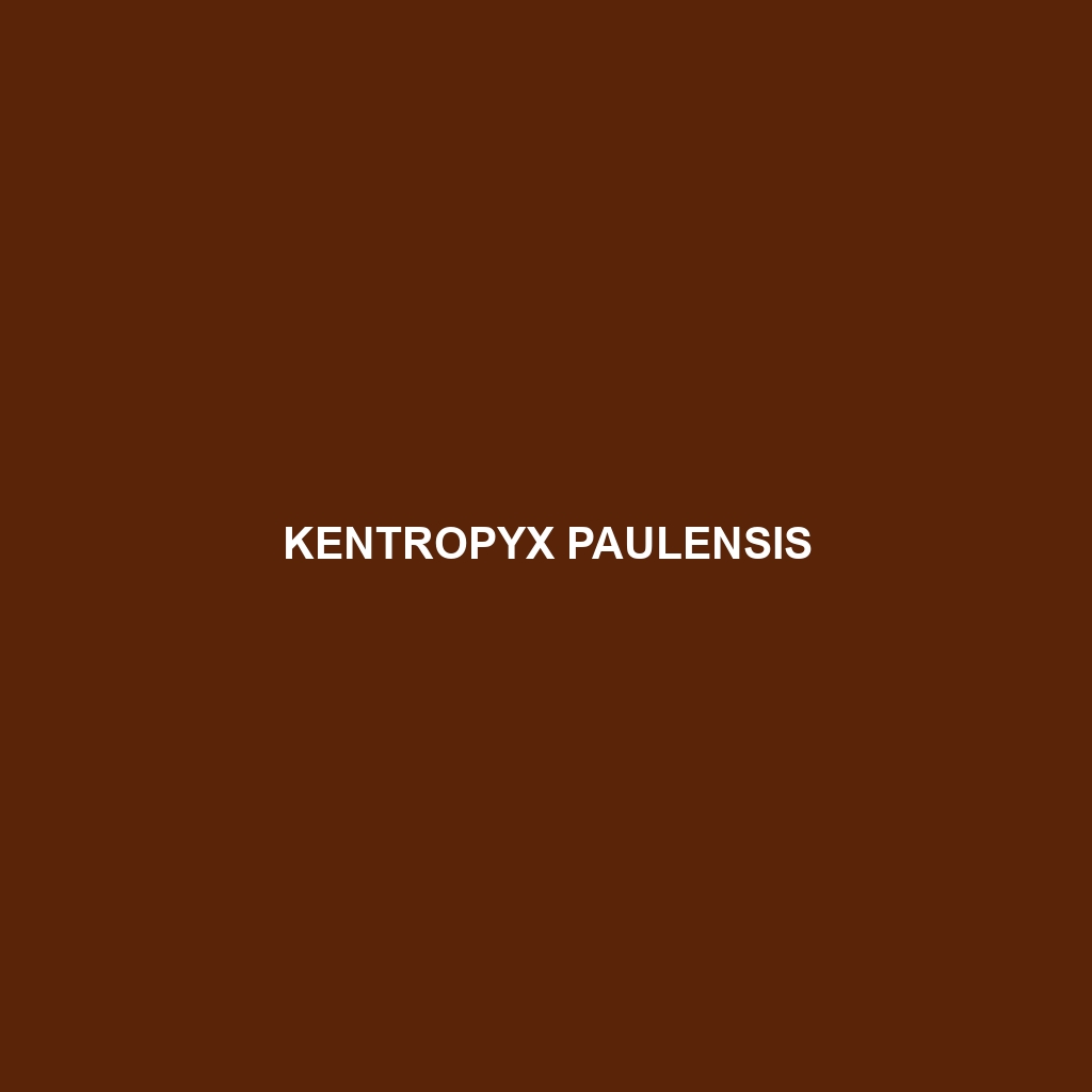 Kentropyx paulensis