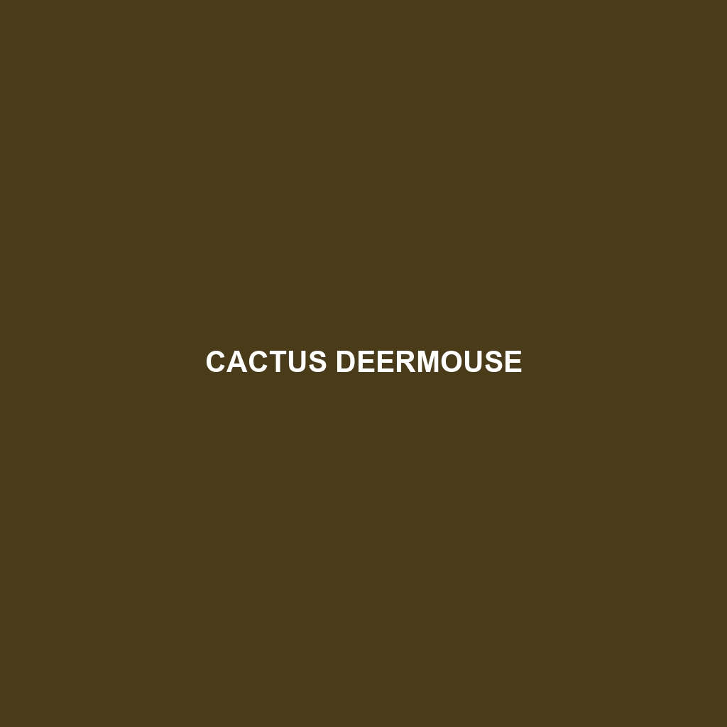 Cactus Deermouse