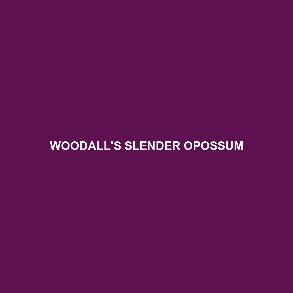 Woodall's Slender Opossum