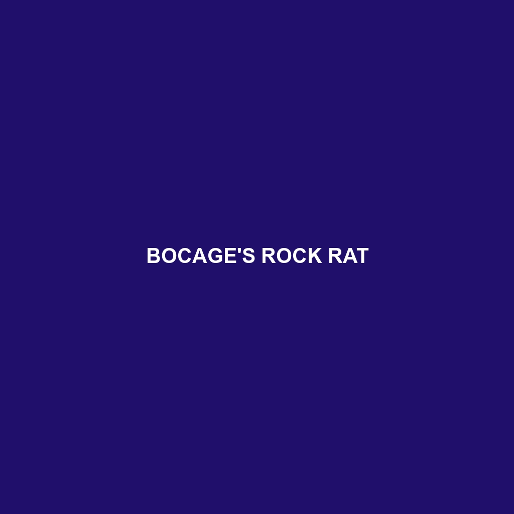 Bocage's Rock Rat