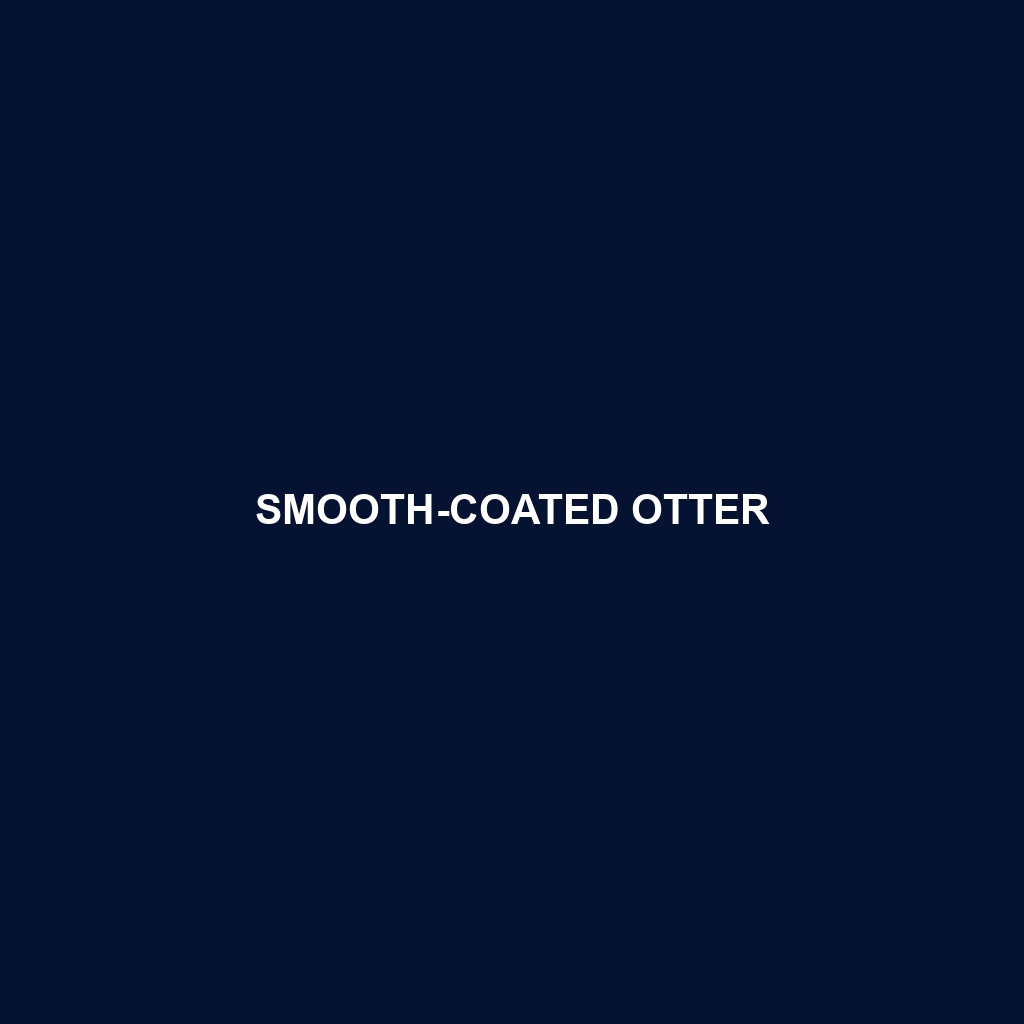 Smooth-coated Otter