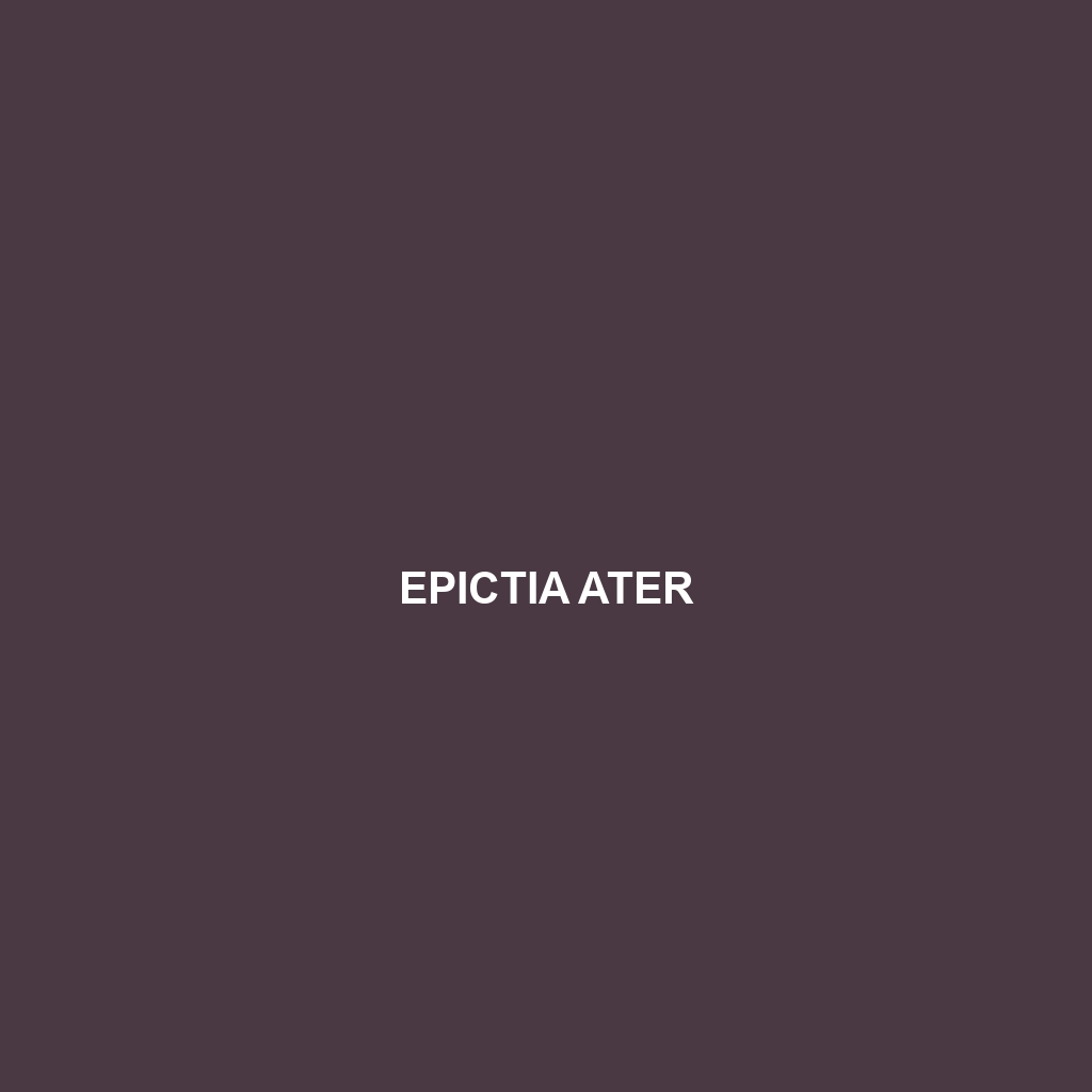 Epictia ater