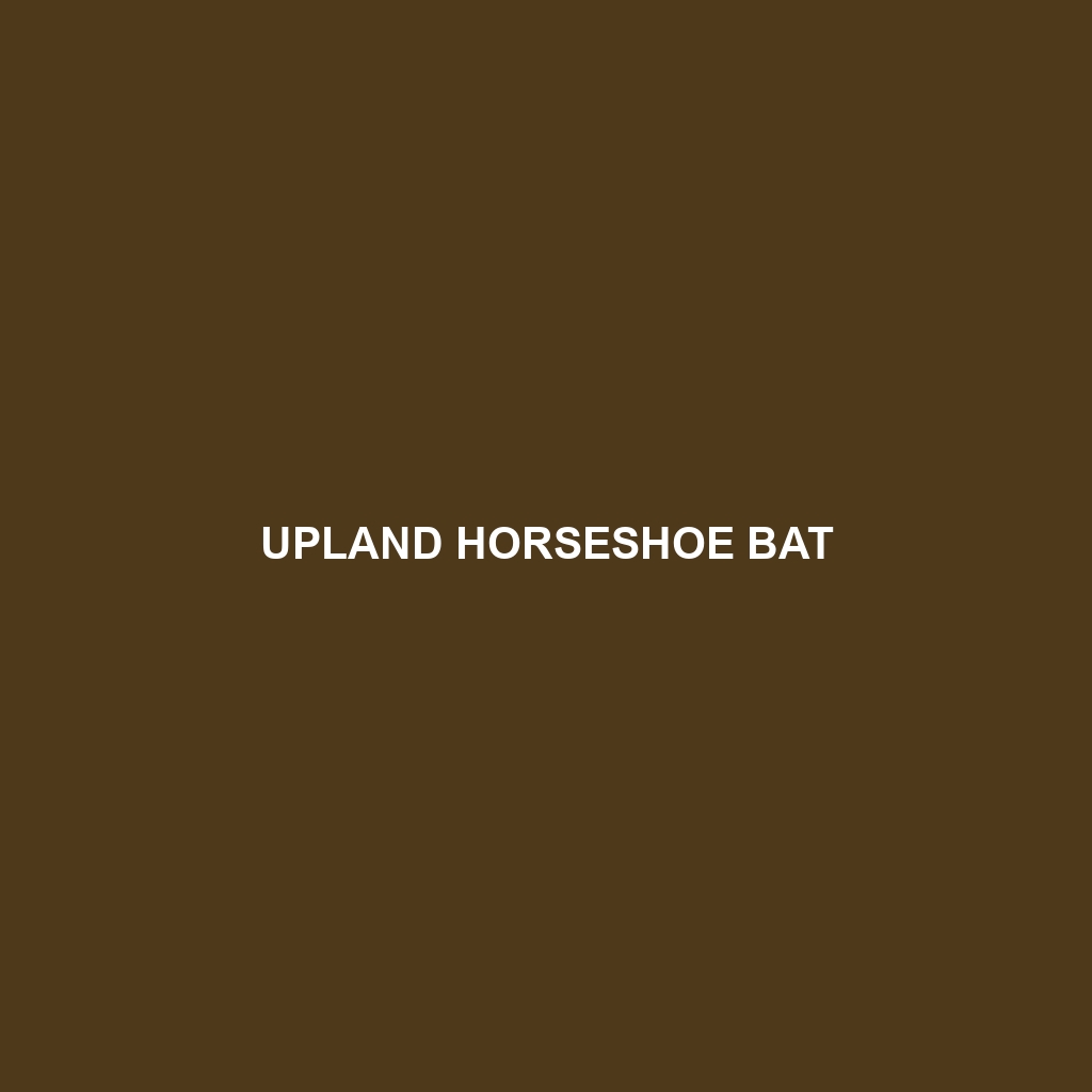 Upland Horseshoe Bat