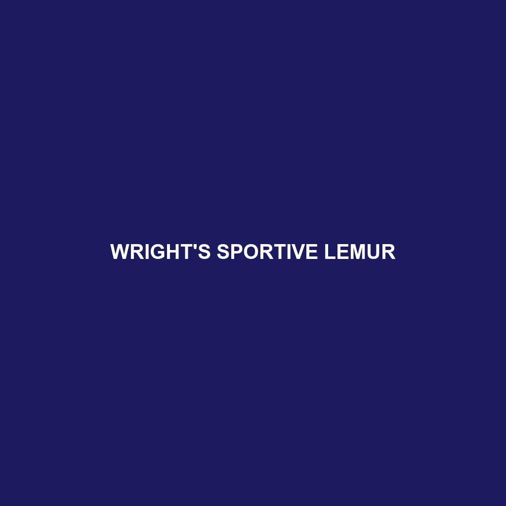 Wright's Sportive Lemur