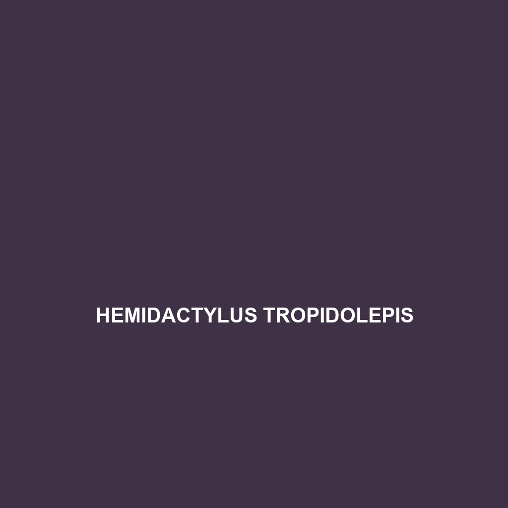 Hemidactylus tropidolepis