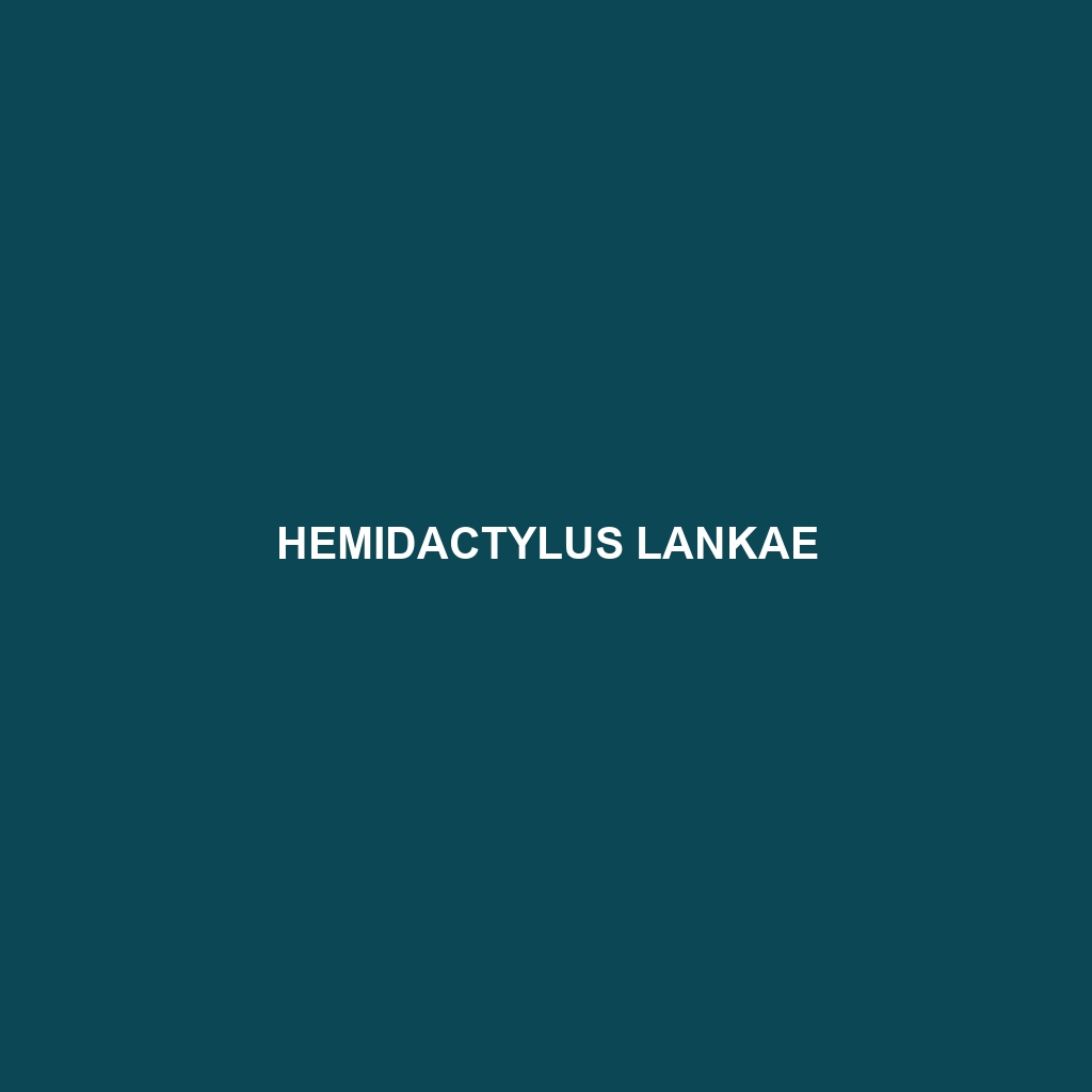 Hemidactylus lankae